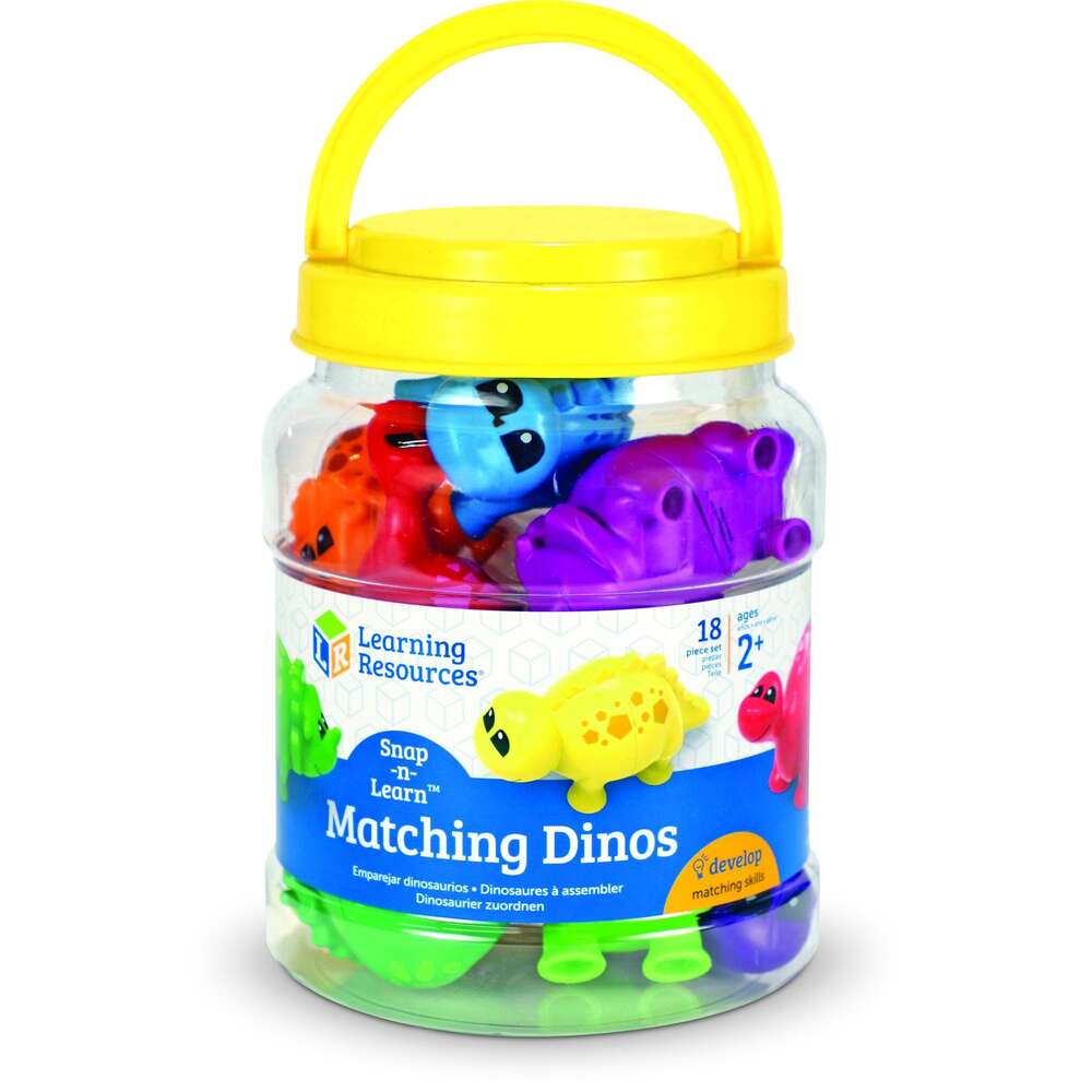 Snap-n-Learn Matching Dinos