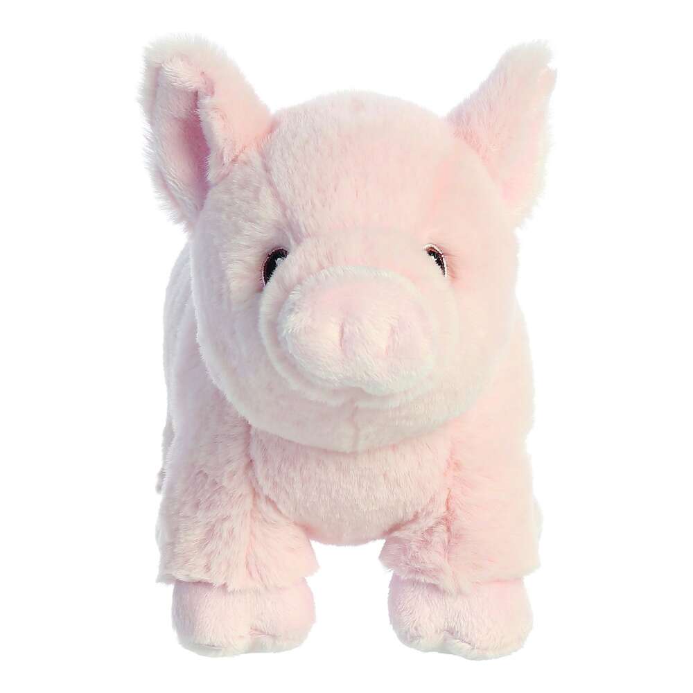 Eco Nation Pig 9.5"