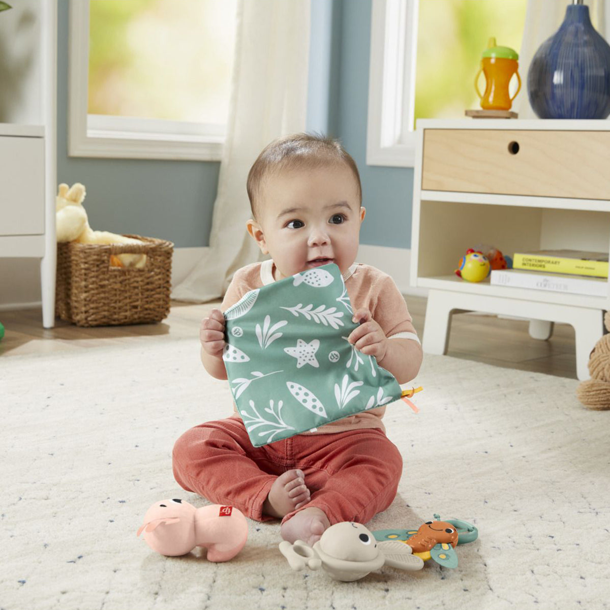 Fisher Price Sensimals Gift Set