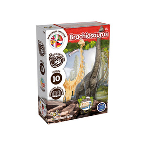 Brachiosaurus Fossil Excavation