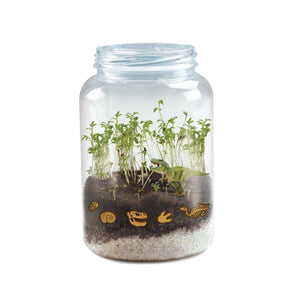Dinosaur Terrarium