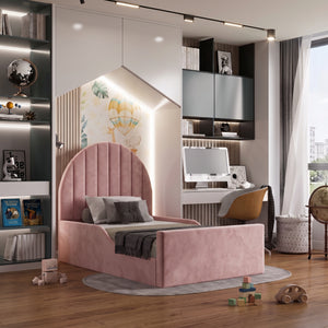 Plush Velvet Pink