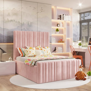 Plush Velvet Pink