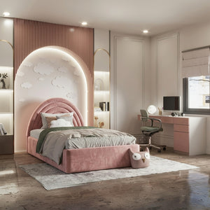 Plush Velvet Pink