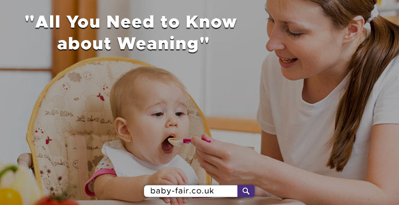 All about Weaning at babyfair