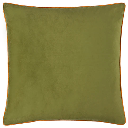 Olive/Ginger