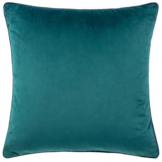 Teal/Navy
