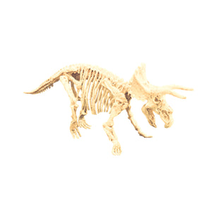 Triceratops Fossil Excavation