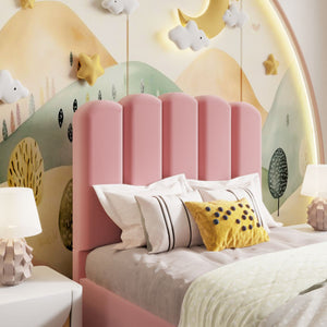 Plush Velvet Pink