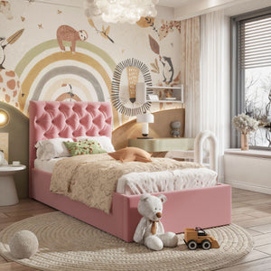 Plush Velvet Pink